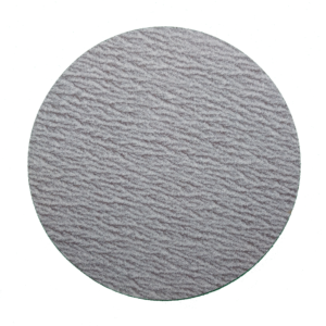 6" Hook and Loop Disc